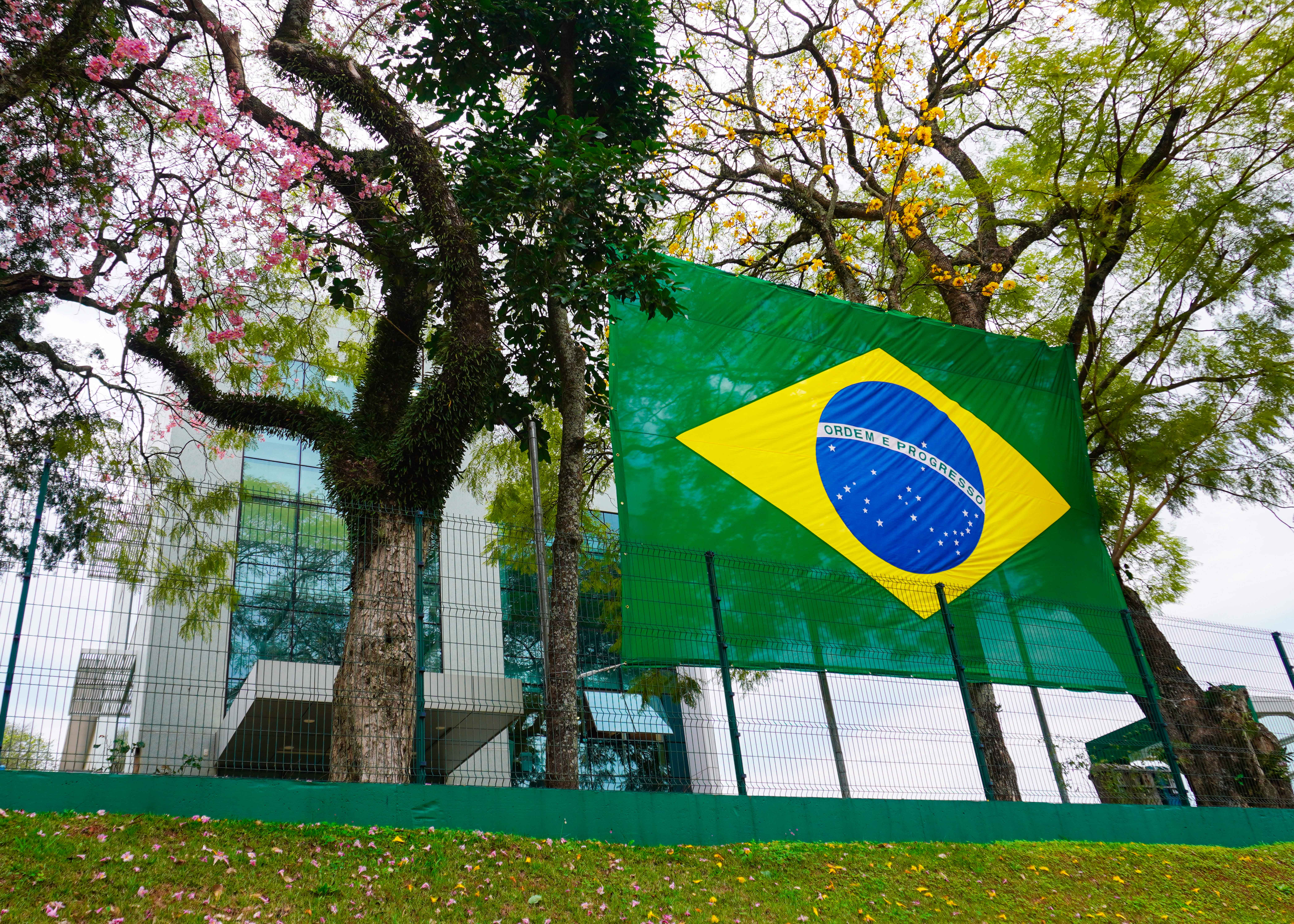 bandeira-da-frente